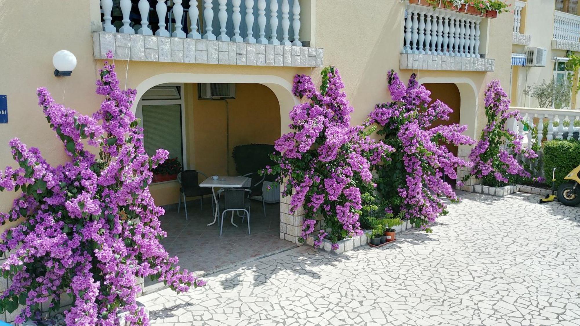 Apartments 3 Palms Crikvenica Exterior foto